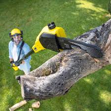 Best Grass Overseeding  in Eatontown, NJ