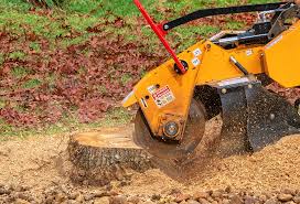 Best Lawn Pest Prevention  in Eatontown, NJ